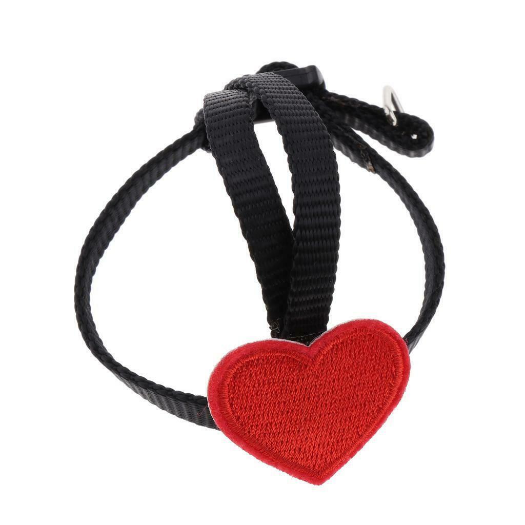 3x Bird Leash Outdoor Adjustable Training Rope for