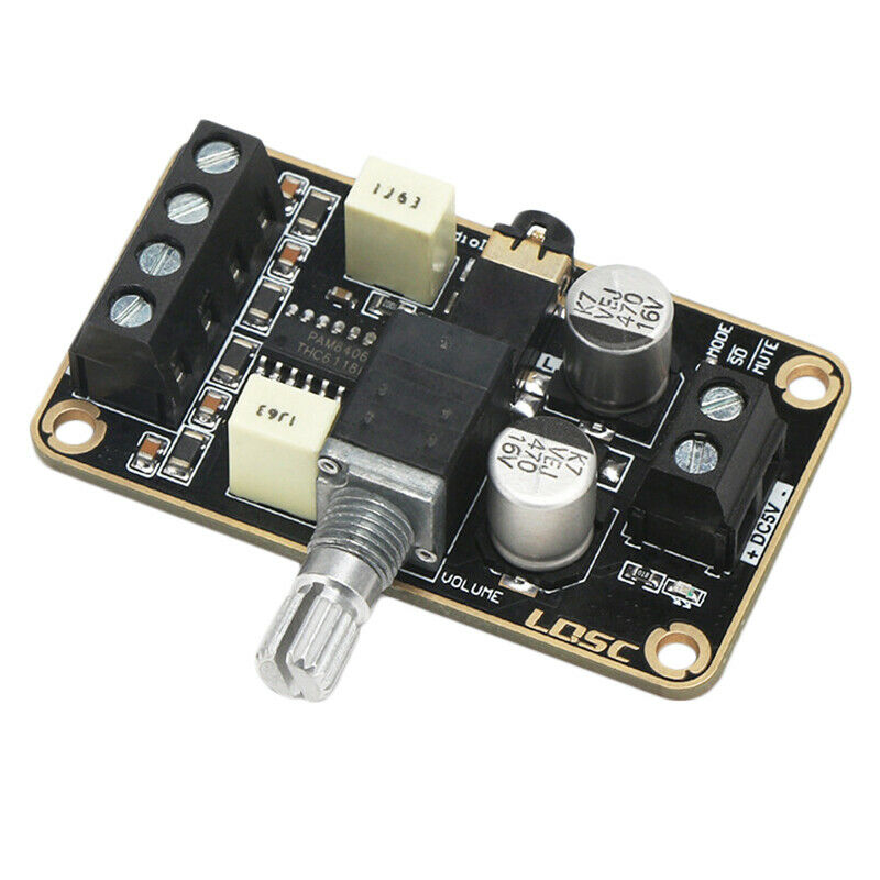 Audio Amplifier Board, Pam8406 Digital Power Amplifier Board 5W+5W Immersion GI2