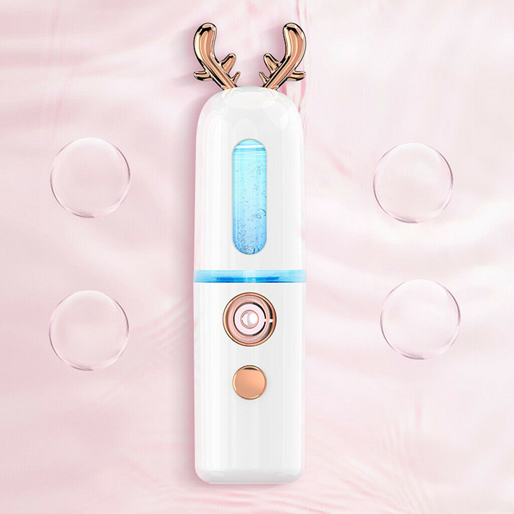 2 Packs USB Facial Nano Spray Hydrating Spraying Machine Moisturizing Tool