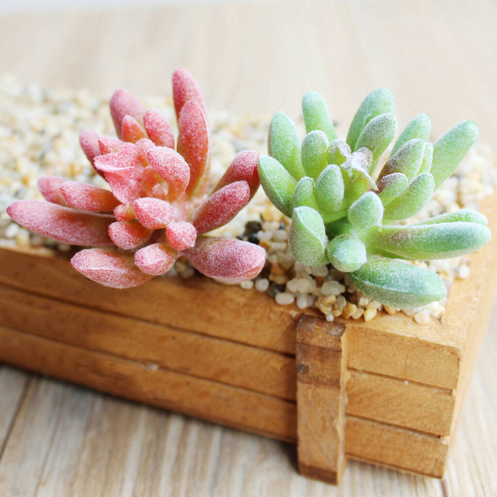 Set of 2 Artificial Succulent Flower Real Touch Simulation Faux Plant 304