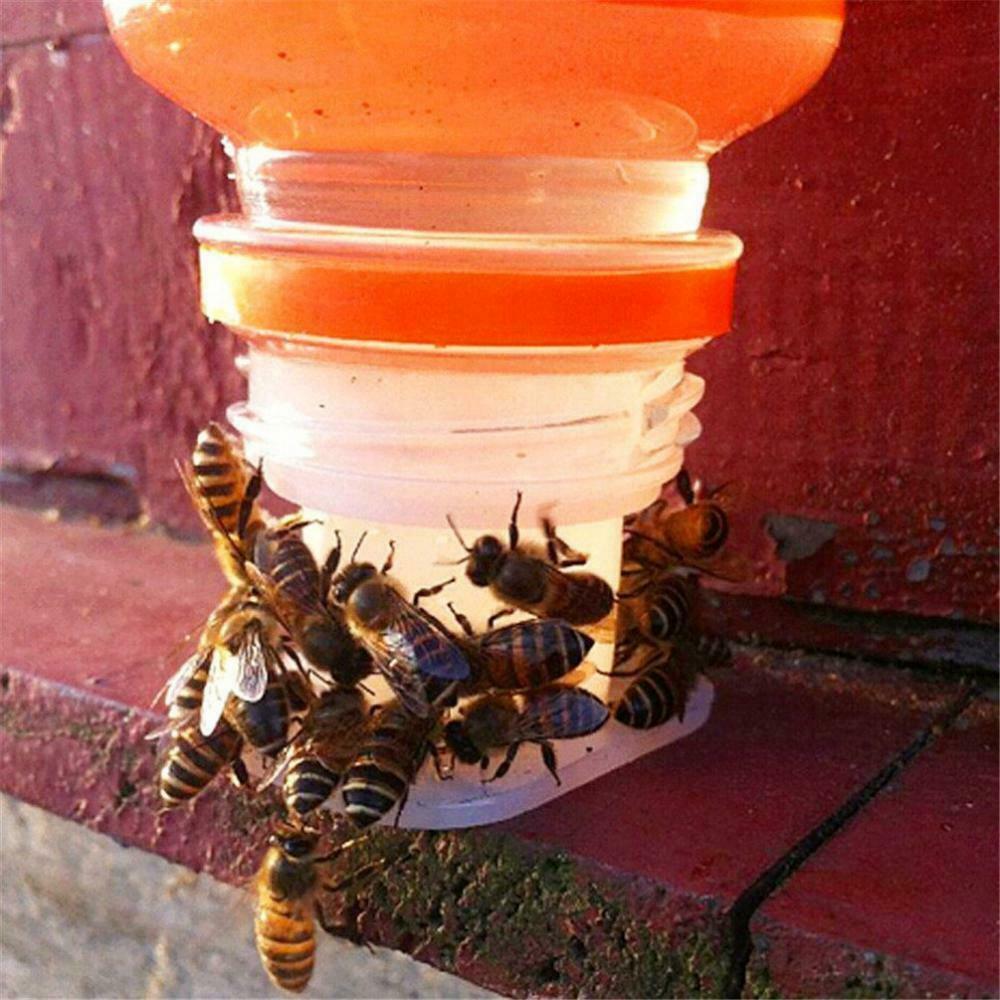 Beekeeping Tool Beehive Water Dispenser Beekeeping Equipment 20pcs
