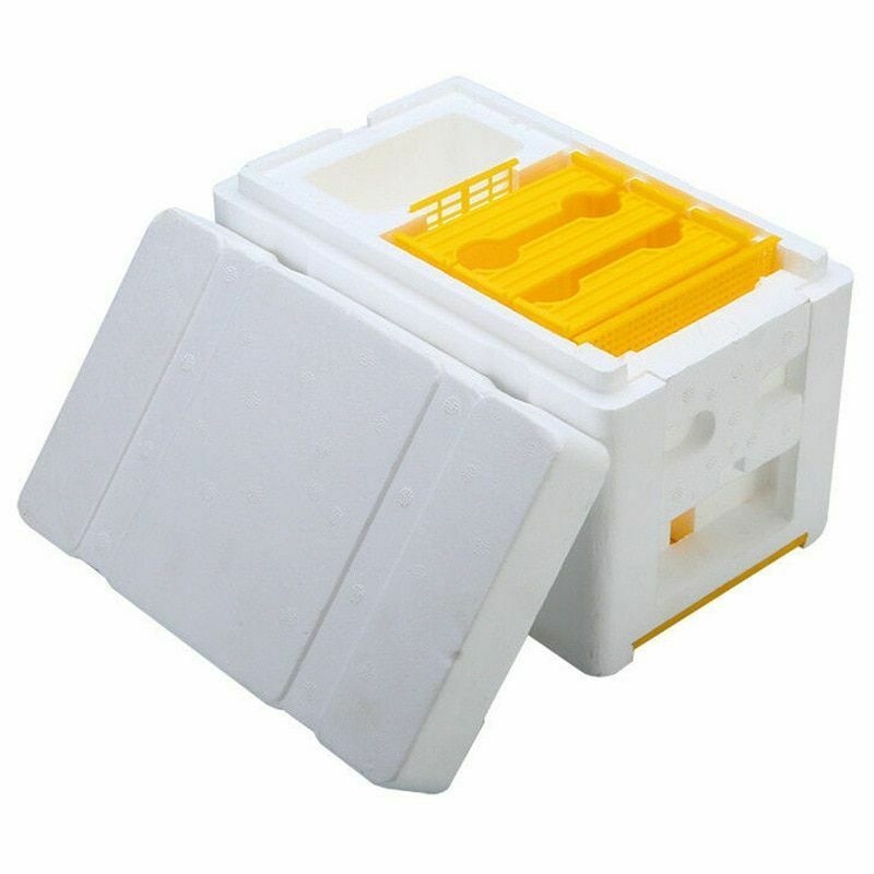 Queen Bee Rearing Mating Hive Tools Equipment Kit Beekeeping Tool Beehive Box