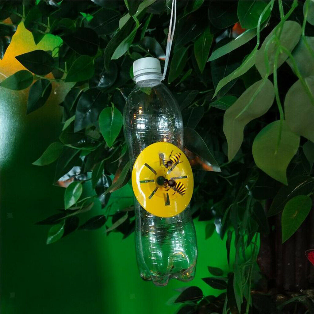 10ps Bee Trap Hornets Catcher Wasp Insect Funnel Killer Reusable