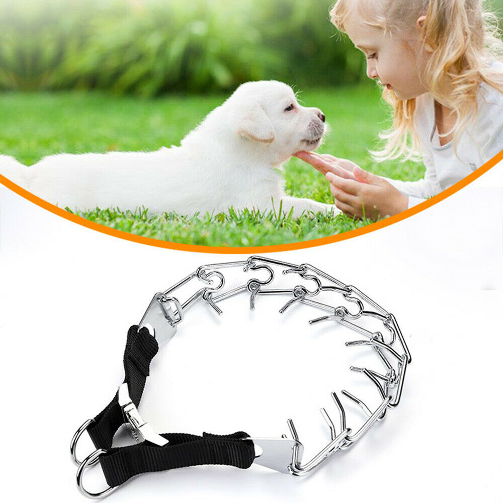 Iron Dog Pinch Prong Chain Collar Double D Type Training Choker Pet Supplies