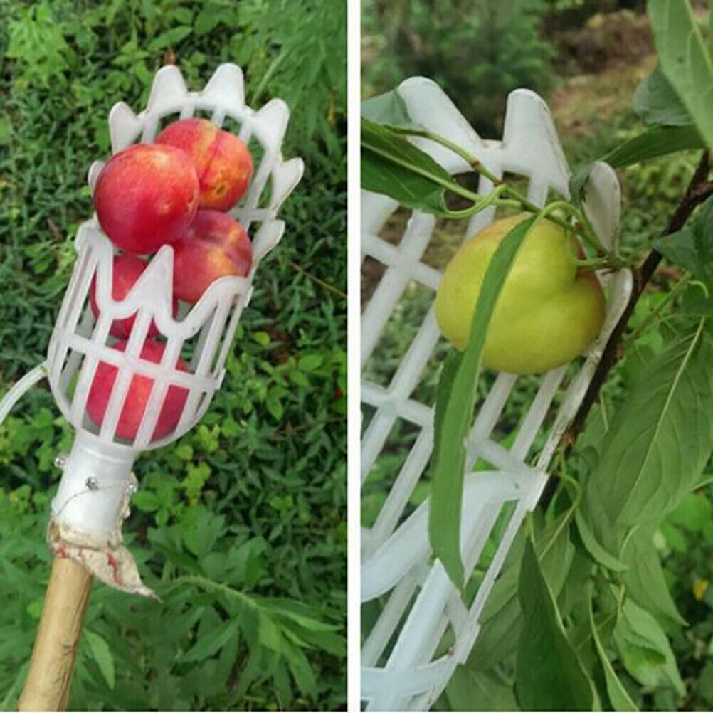 1Pc Plastic Fruit Picker Without Pole Fruit Collector Gardening Picking T.l8