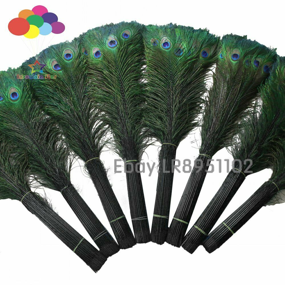 100 pcs quality black peacock feathers 70-80cm DIY wedding living room decorated