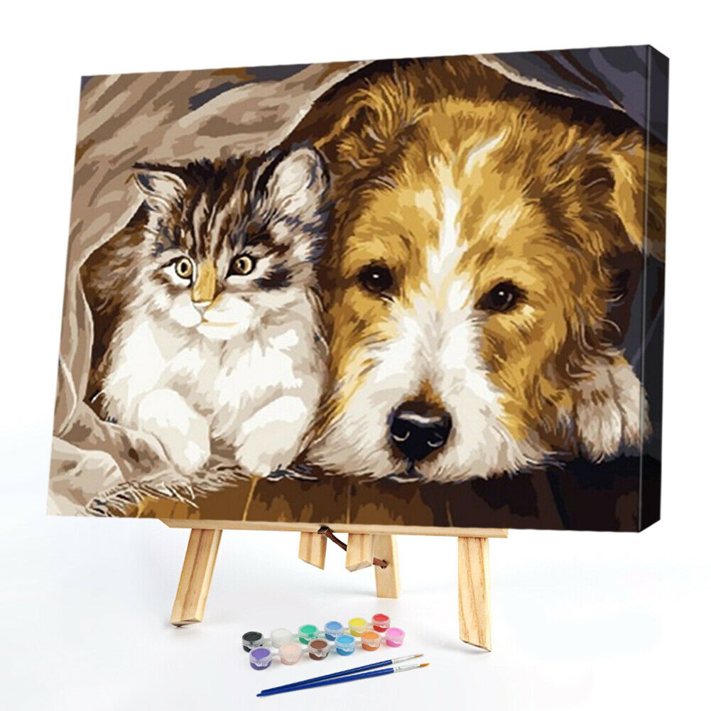 DIY Digital Oil Painting By Numbers Staying Dog Cat Acrylic Animal Picture @