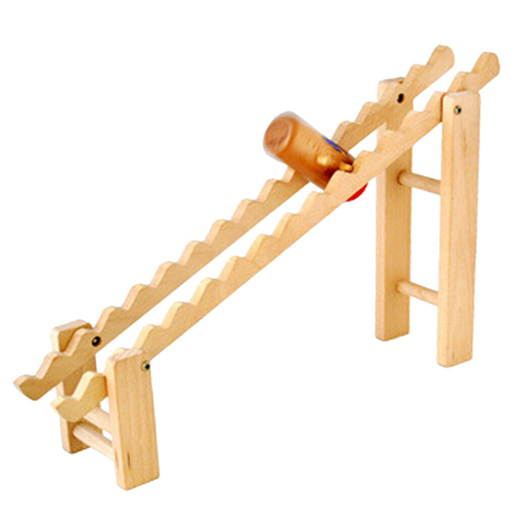 Heavy Duty Wooden Slide with Ladder Gravity Game Montessori Toys