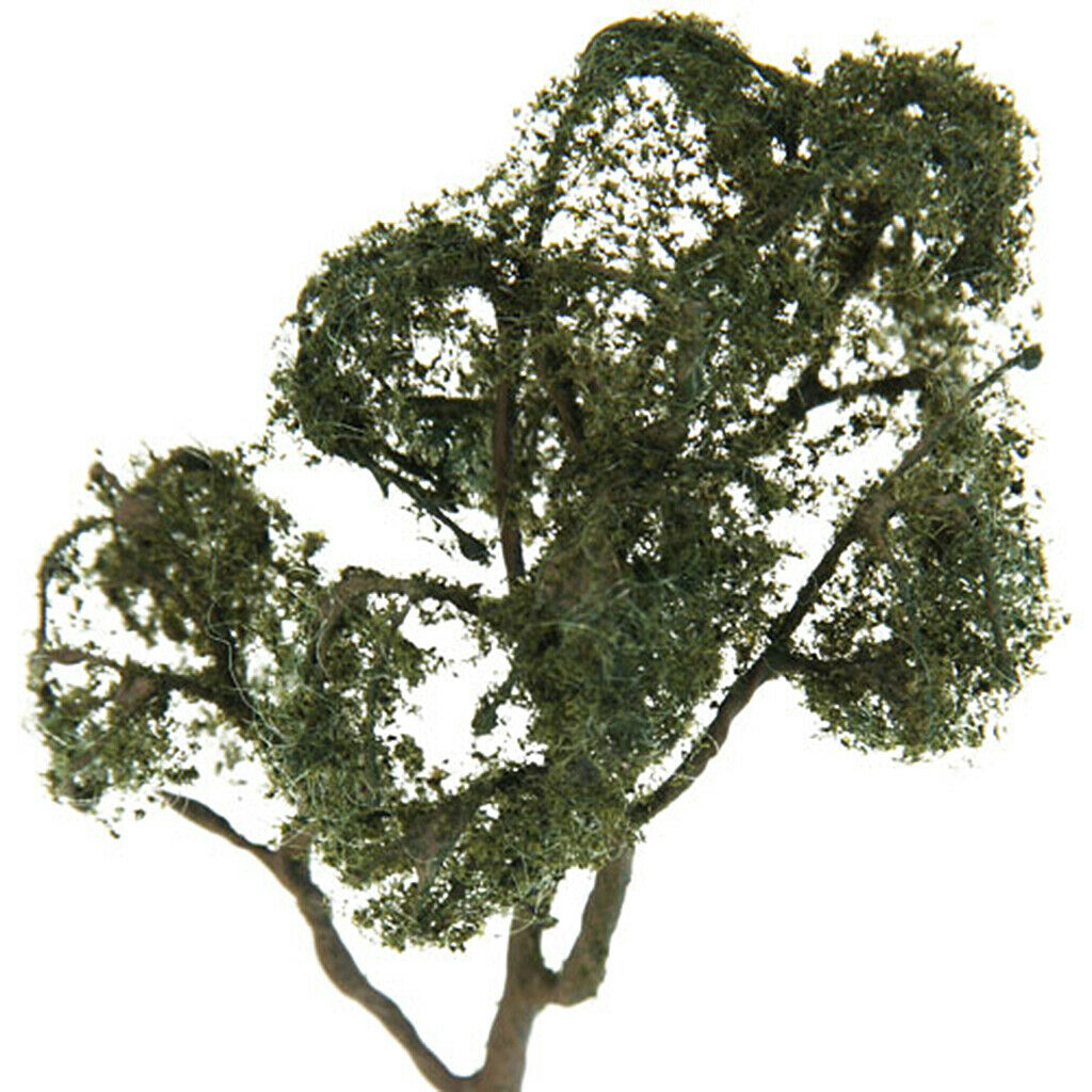2x1: 75 Maple And Ash Trees, Tree Design, Tree Design, Garden
