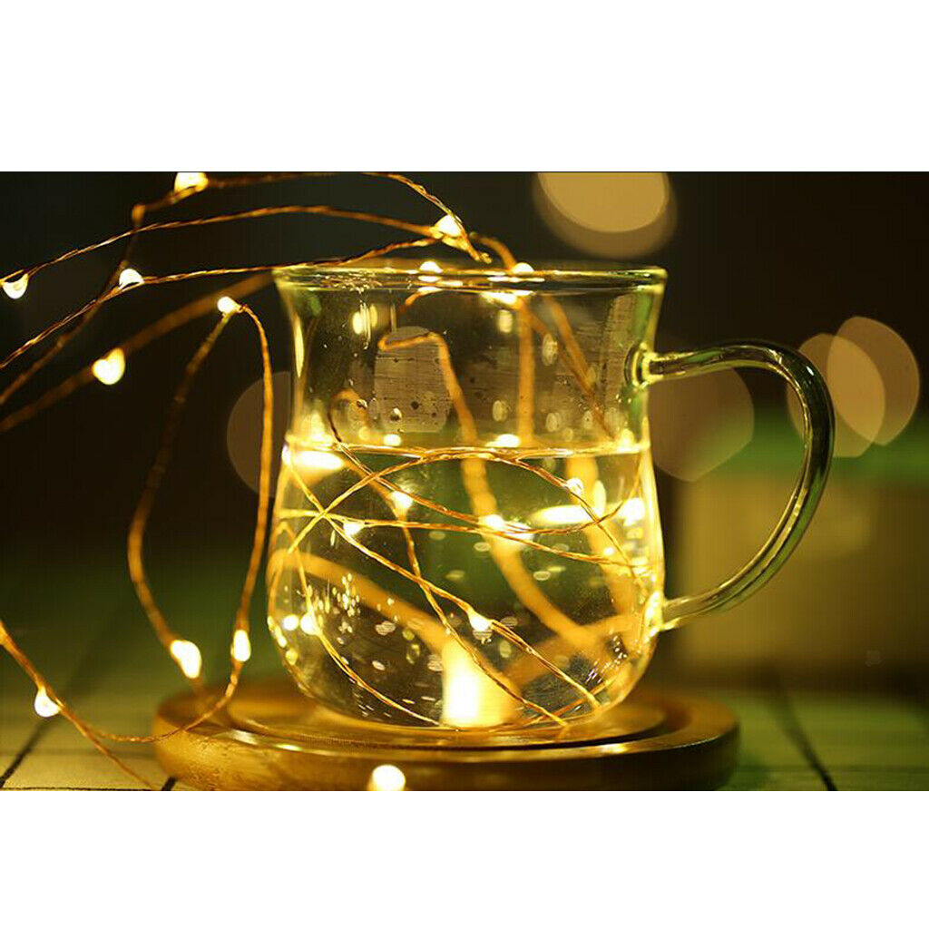 LED Copper String Light Holiday decoration b Warm White_2m