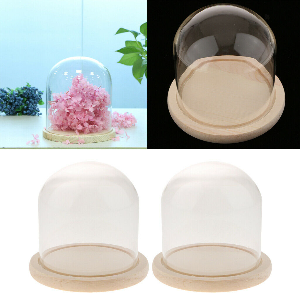 Glass Cloche Micro Landscape Plant Flower Mini Garden Dome Cover Vases