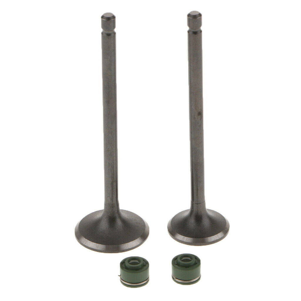 Intake Exhaust Valve Kit With Rubber Valve Stem Seals For  CG125 125cc
