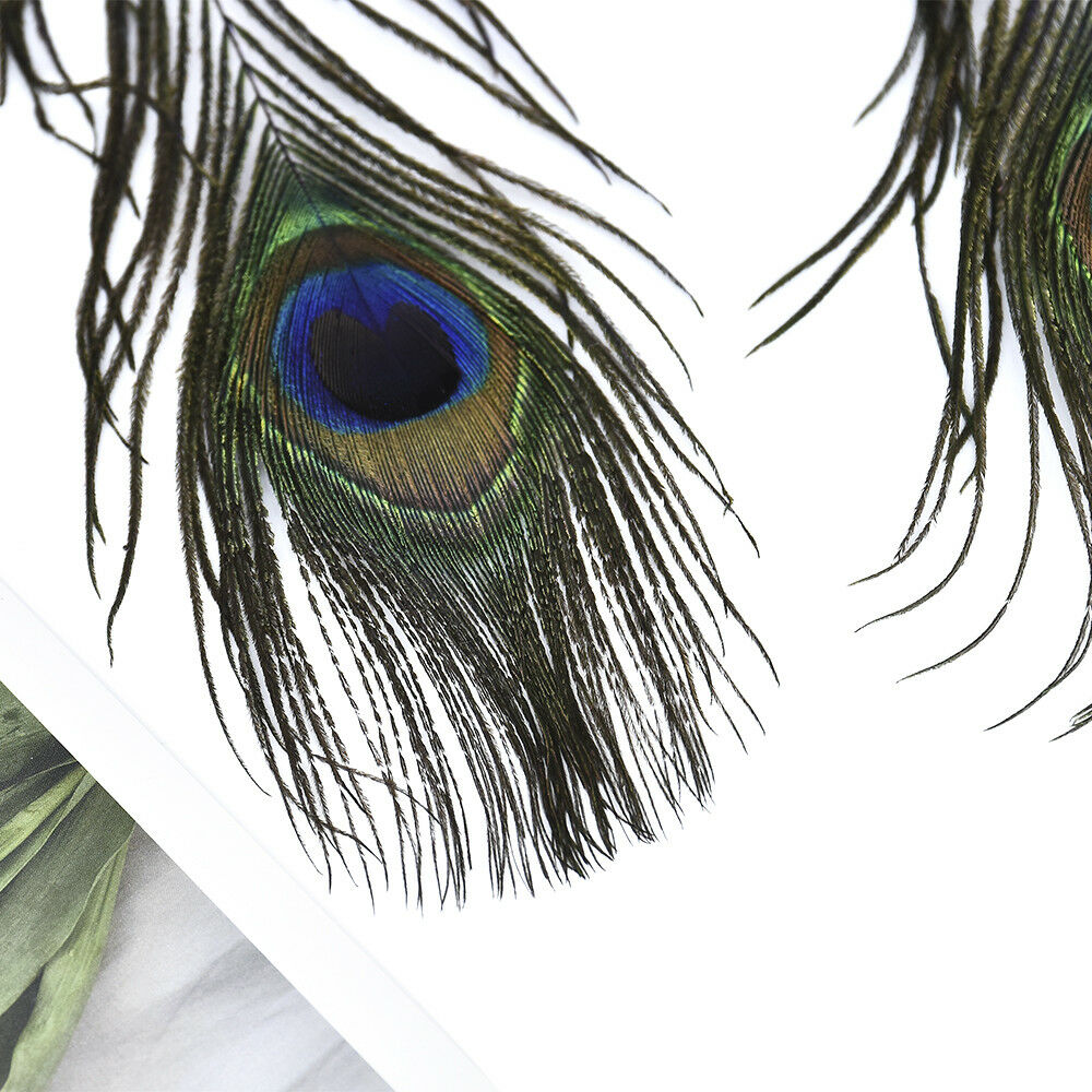 10Pcs DIY Natural Peacock Tail Feathers Wedding Festival Party Home Decoration