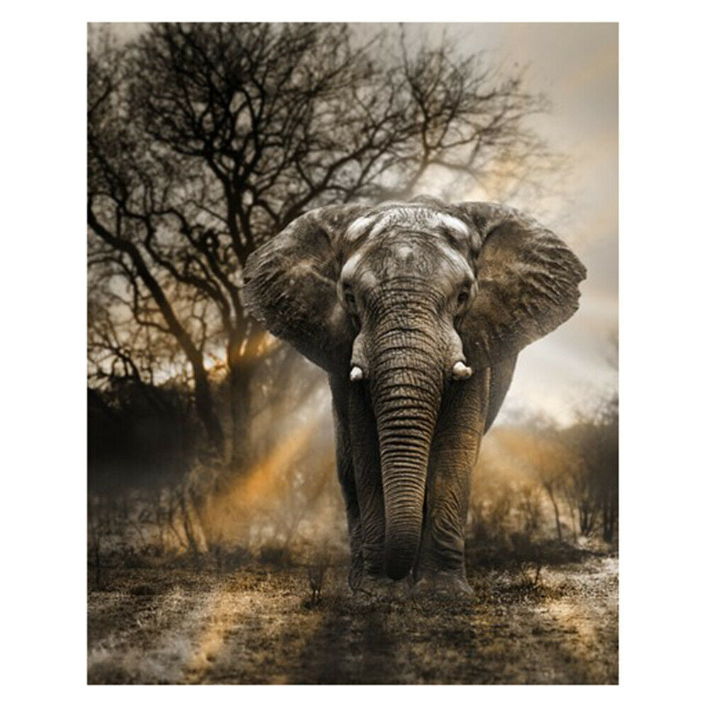DIY 5D Elephant Full Drill Round Diamond Painting Embroidery Home Decor @
