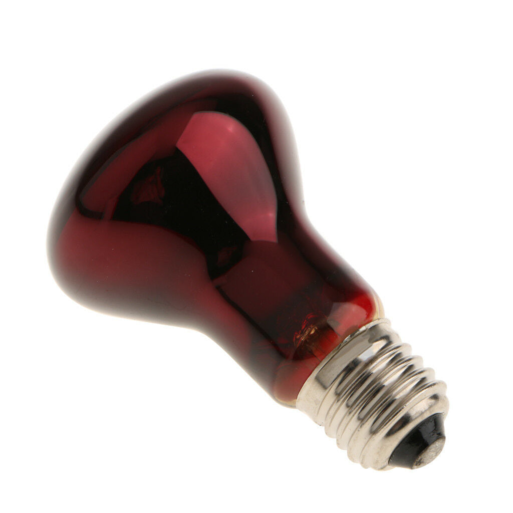 4x 220V E27 Reptile Terrarium UVA UV Infrared Heat Light Bulb Nightlight 60W