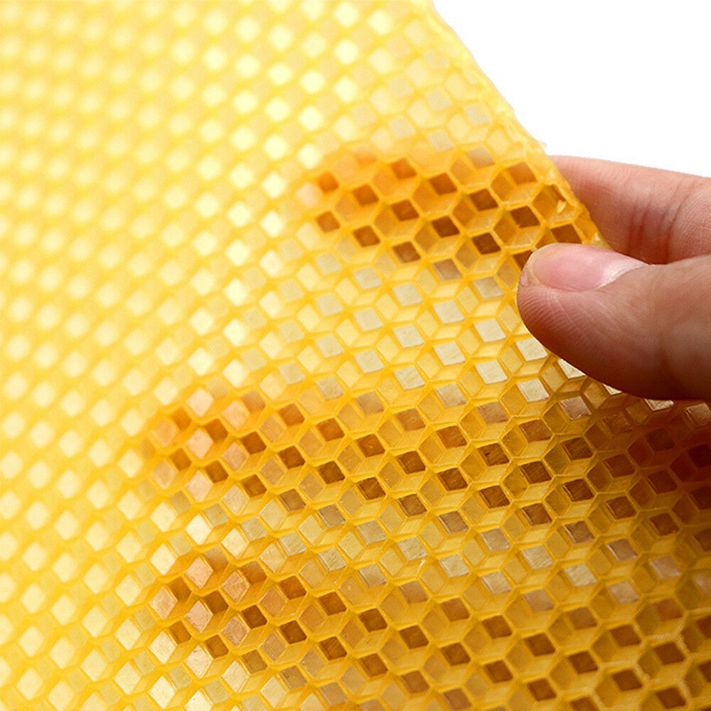 30PCS Beekeeping Nest Bee Honey Sheets Beehive Wax Foundation Beekeeping Tools