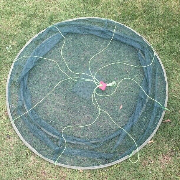 Foldable Crab Net Trap Cast Dip Cage Fishing Bait Fish Minnow Shrimp & Crawfish