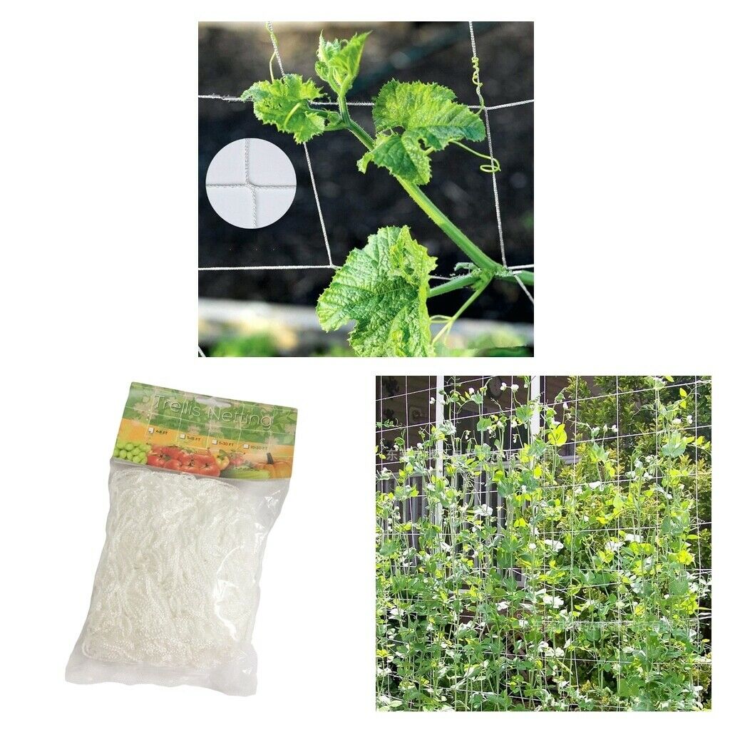 3x Heavy-Duty Fruit Veggie 10m 32.8ft Plants Trellis Climbing Net Growing