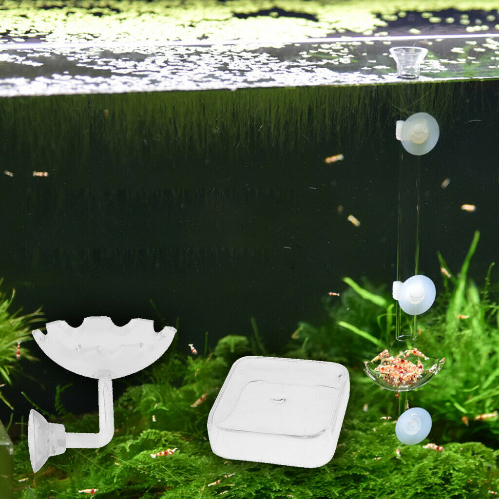 2Pcs Aquarium Fish Tank Clear Shrimp Fish Feeding Dish Sucked Tray Container