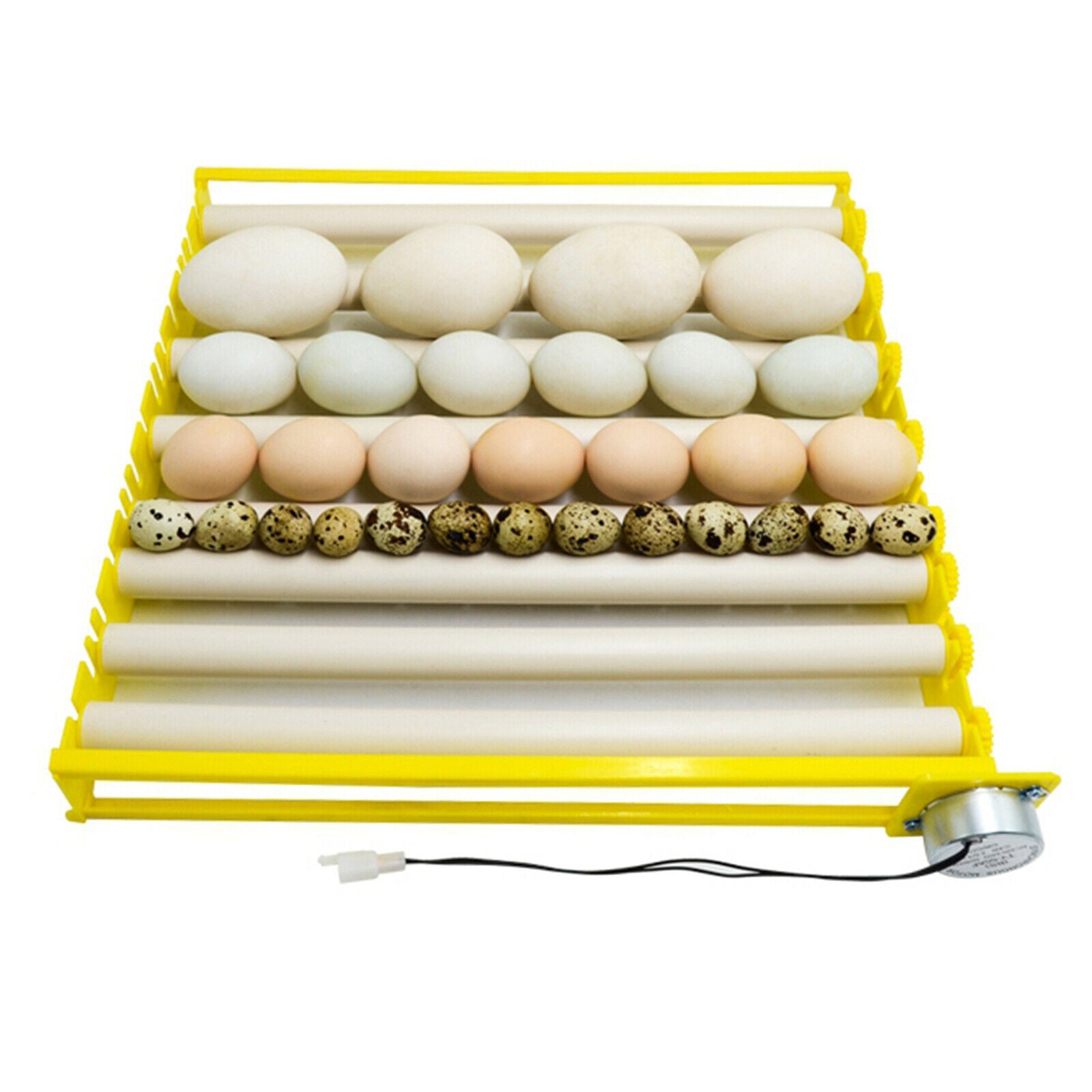 Egg Incubator Tray Automatic Egg Turner for Chicken Duck Pigeon 220V 7 Tubes