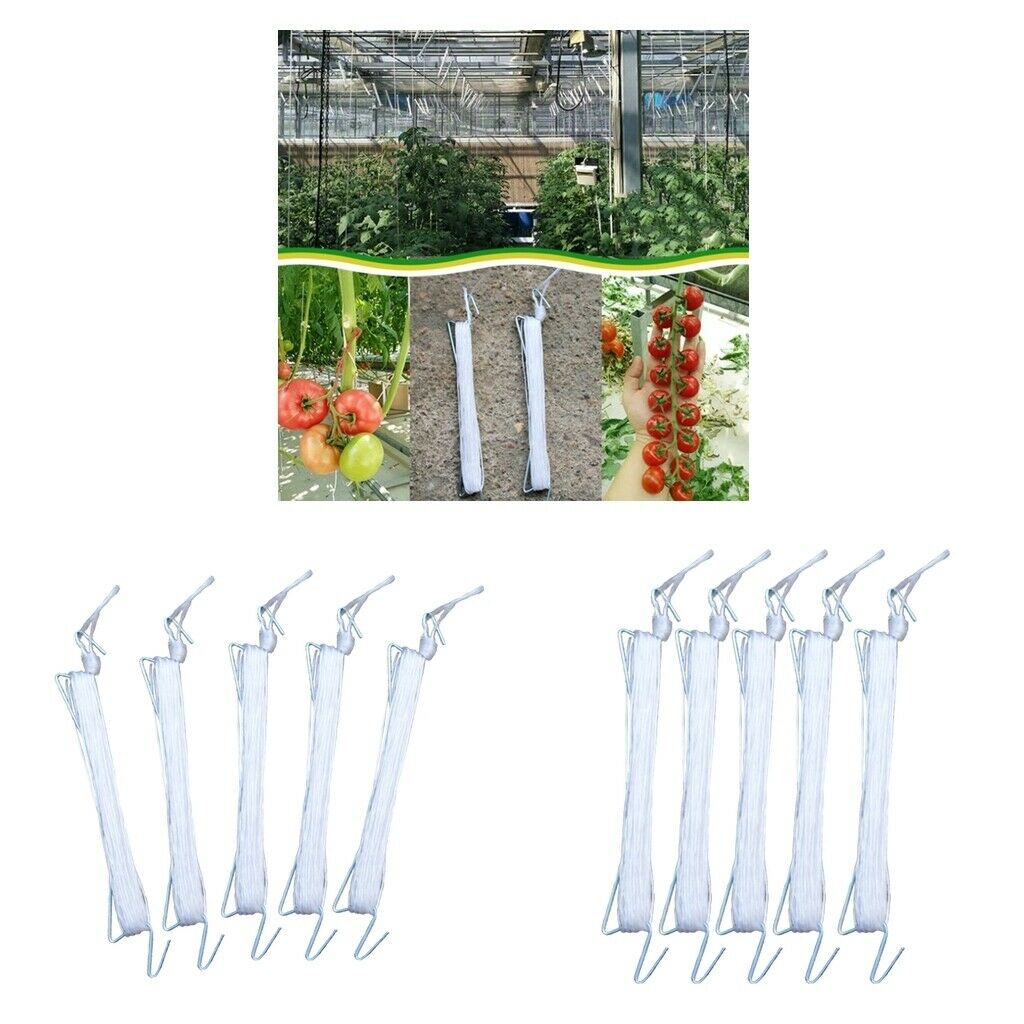 Set Of 10 Support Brackets For Planting