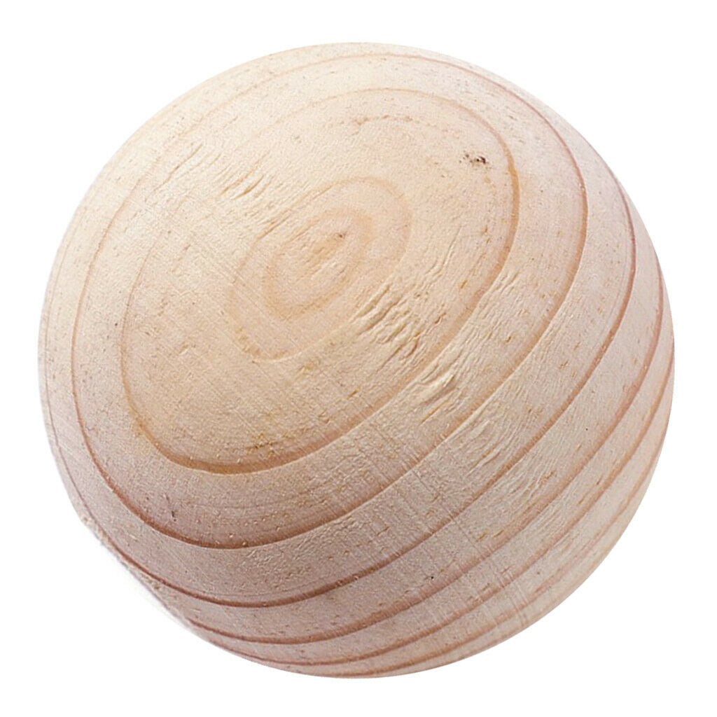 Round Driftwood Rustic Wood Shaped for Northumbrian Coastline DIY Decorating
