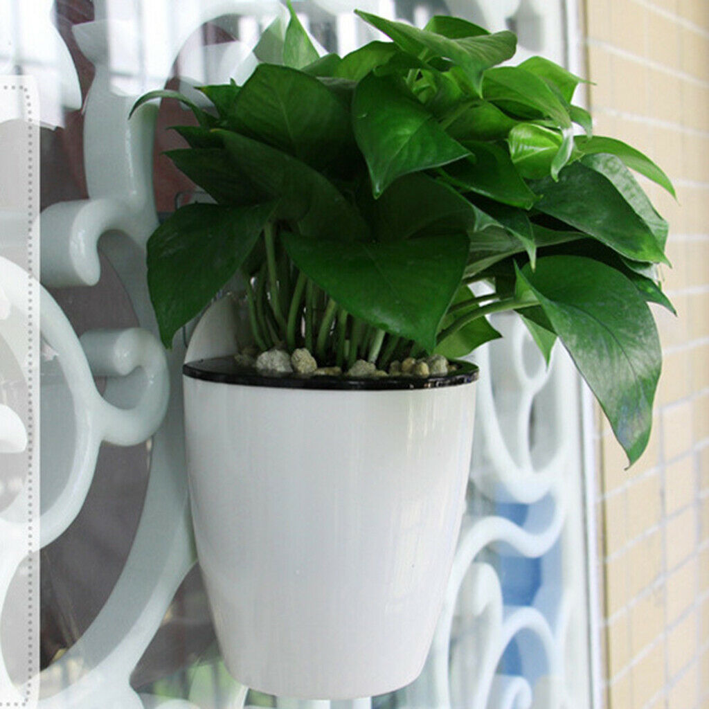 3x Self-watering Wall Floating Flower Pot Flowerpot for House Garden M