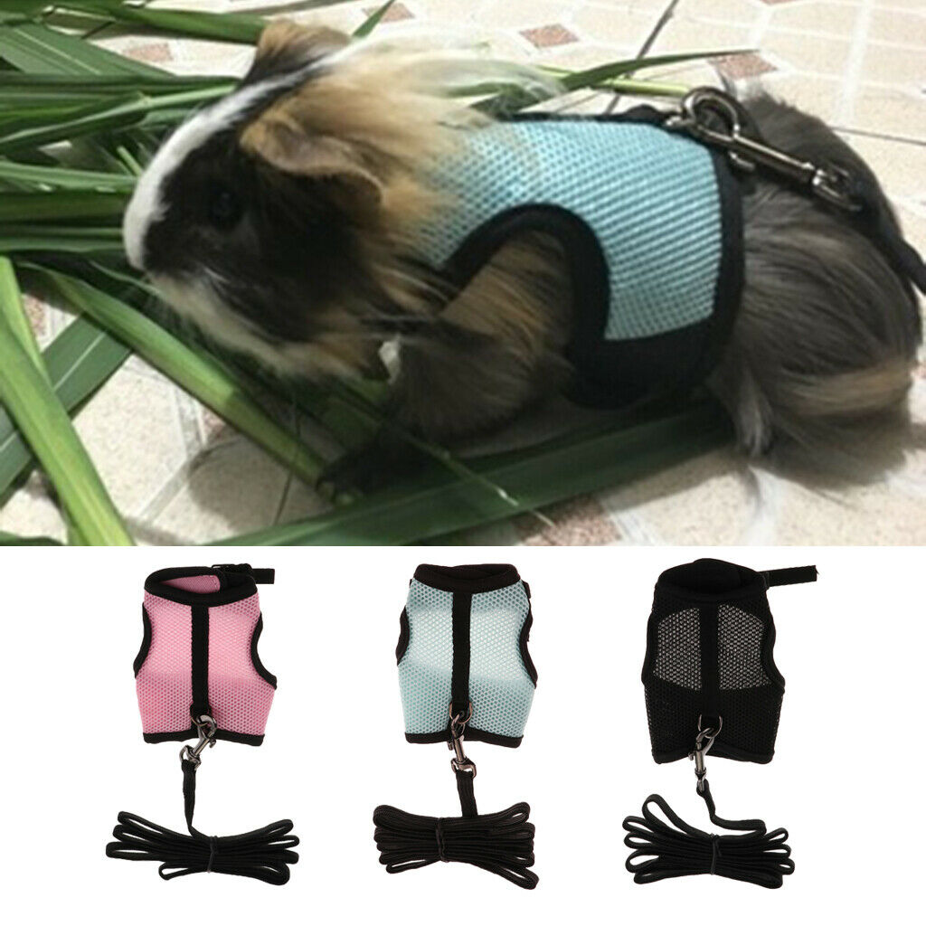 2x Hamster Rabbit Guinea Pig Rat