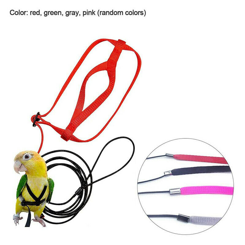Adjustable Bird Harness Training Rope Harness and Lead Anti-Bite for Birds HN US