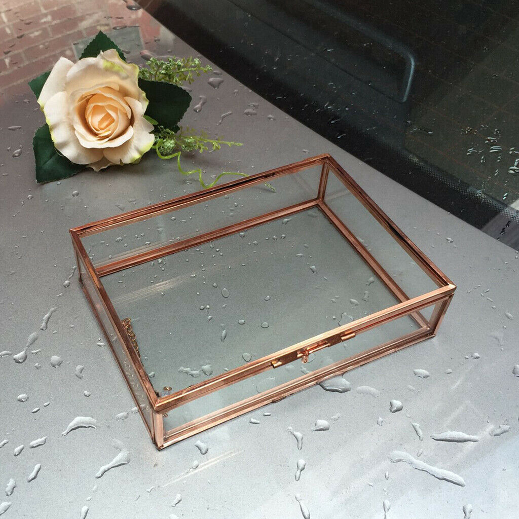 2Pcs Modern Desktop Rectangle Glass Geometric Terrarium Air Plants Container