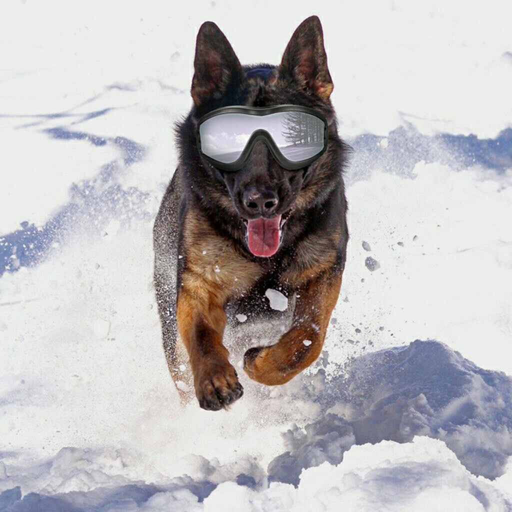 Waterproof Dog Sunglasses  Eye Protection Anti-shedding Pet Goggles Universal