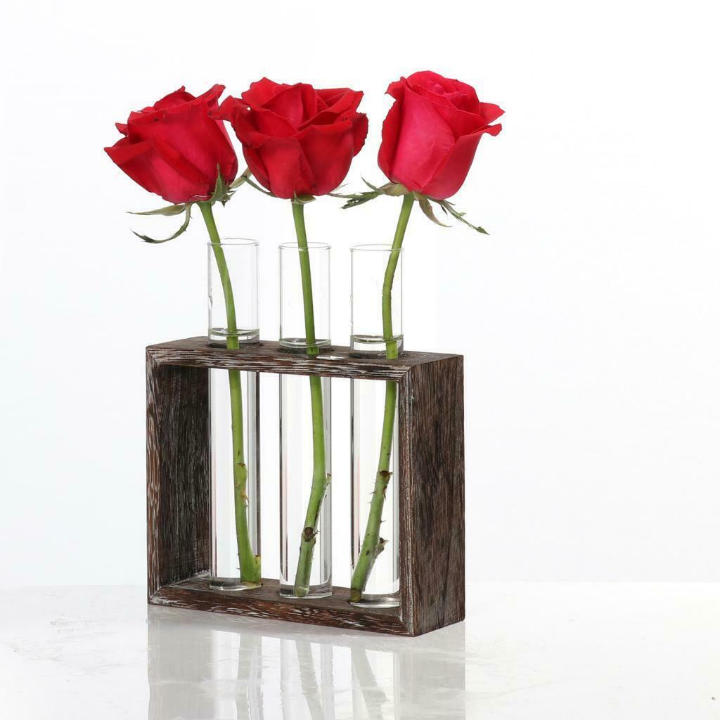 5pcs Test Tube Vase Terrariumin Vase Hydroponic Pot for Office Home Decor