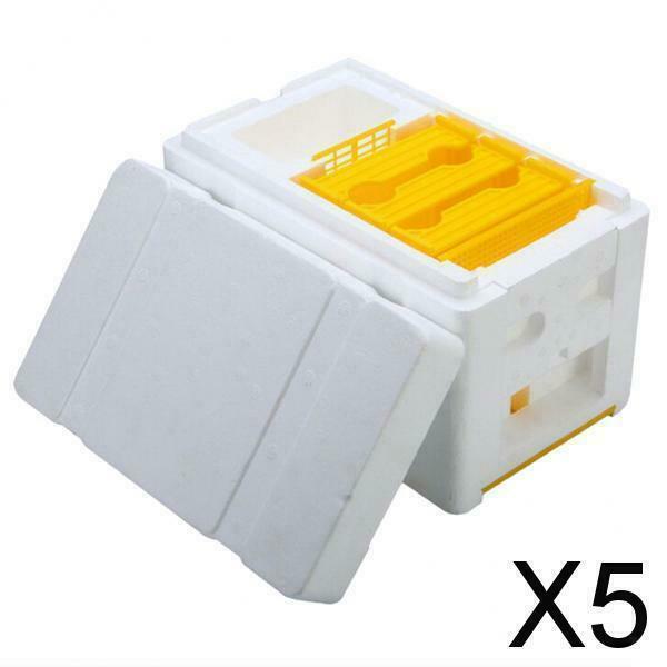 5X Bee Tail Box Bee Pollination Box Beehive King Box for Beekeeper Starter