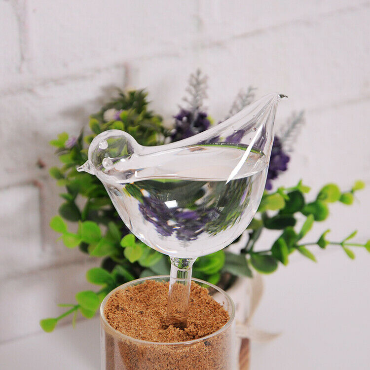 4x Glass Plant Flower Water Feeders Device Self Watering Waterer Accessories