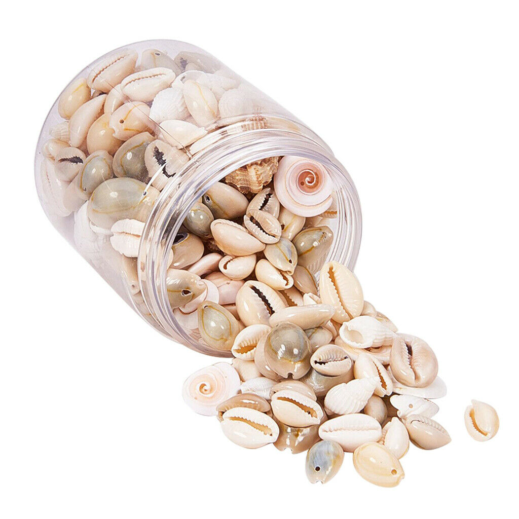 Mixed Beach Seashells Spiral Shells Conch Beads Vase Filler Jewelry Making