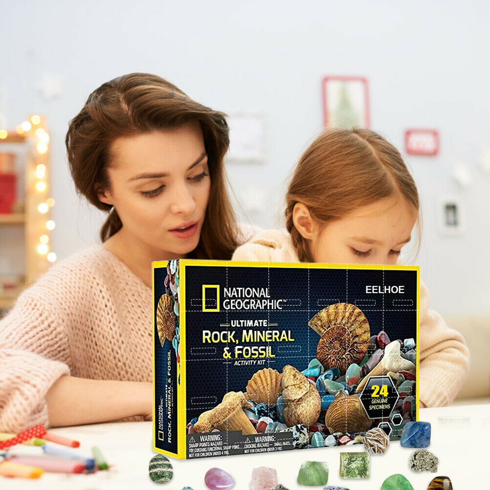 Christmas Advent Calendar Mineral Gift Box Funny Early Childhood Education Toys