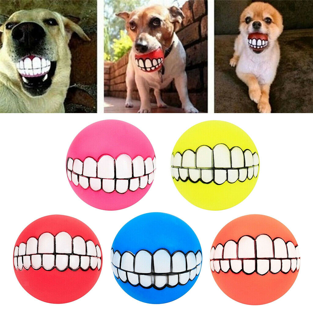 Set of 5 Non-toxic Squeak Puppy Toys, Funny Ball Sets Pet Interactive Play for