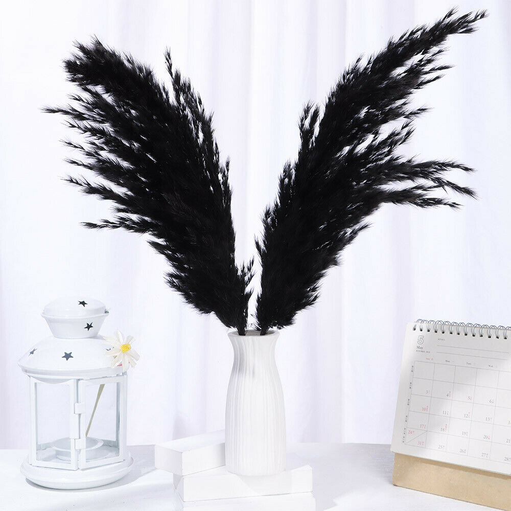 Material Pampas Grass Real Flower Reed Natural Dried Bouquets Plant Stems