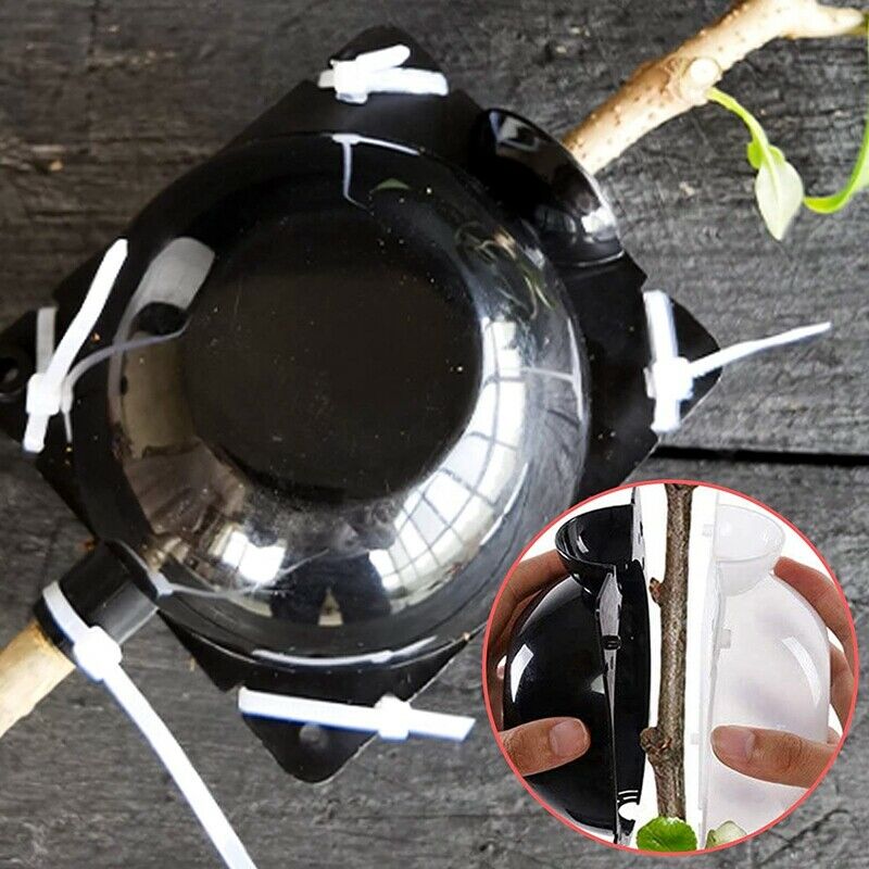 5Pcs 12cm Plant Root Growing Box High Pressure Gardening Plant Root Ball BreU3E1