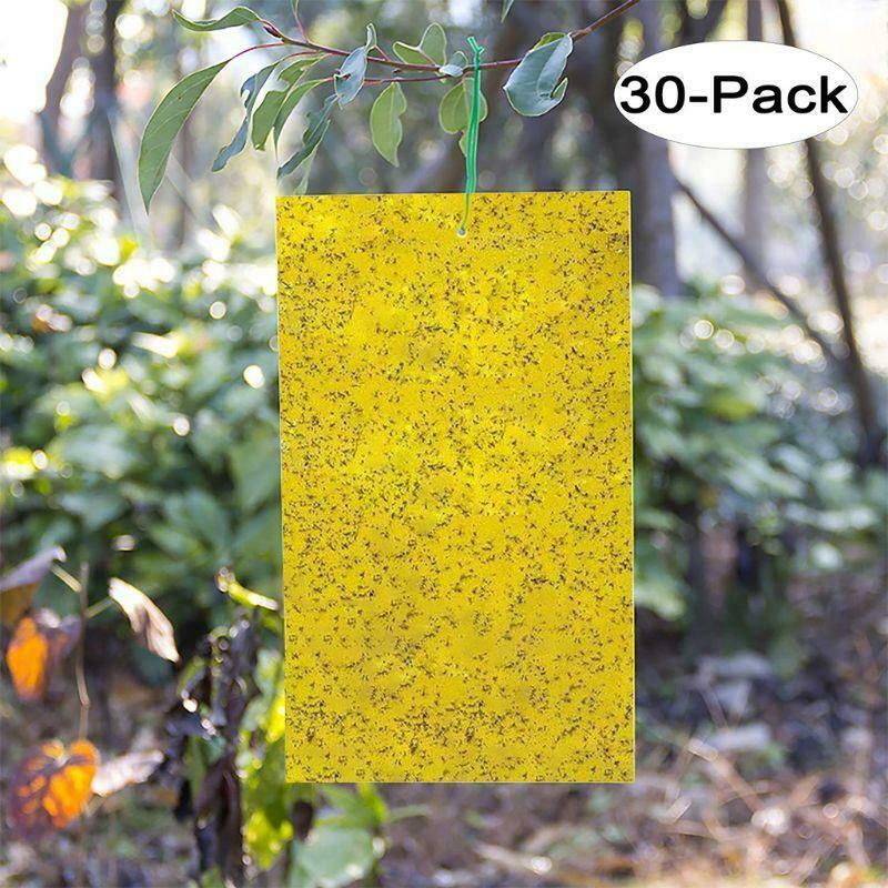 30 Pack Dual-Sided Yellow Sticky Traps for Flying Plant Insect (10x4 Inch, 30pcs