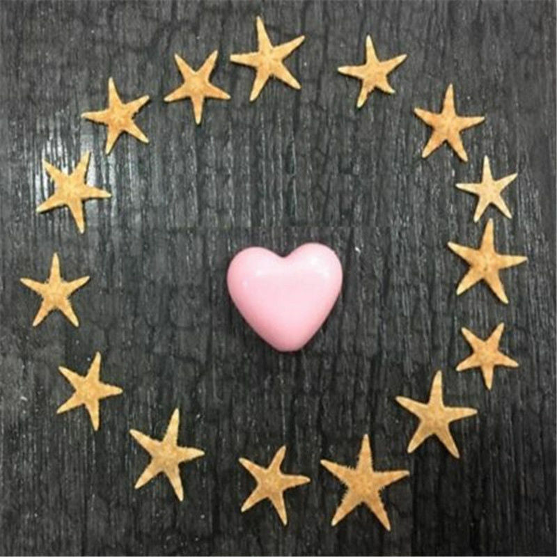 Mini Natural Starfish Shell Beach Sea Star Landscape Crafts Making Decor 50PCs