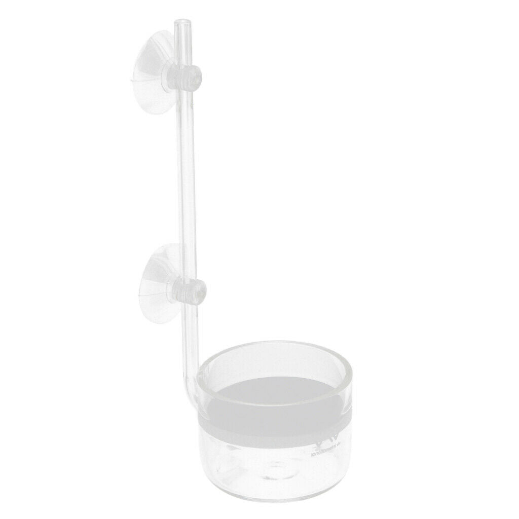 Glass CO2 Diffuser with L-Shape Connecting Tube for Aquarium Tank XXXL
