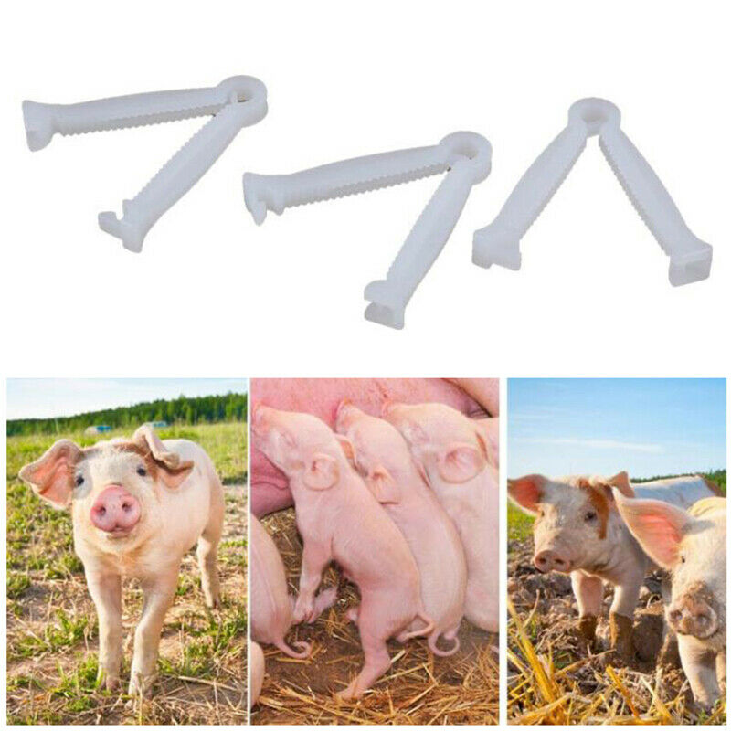 100Pcs Disposable Umbilical Cord Clamps 50mm in Length Puppy Kitten Whelp JYDFA