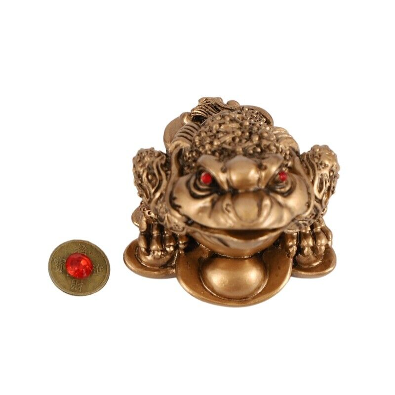 Chinese Feng Shui Money Lucky Fortune Wealth  Toad Coin Home Decoration Home OI3