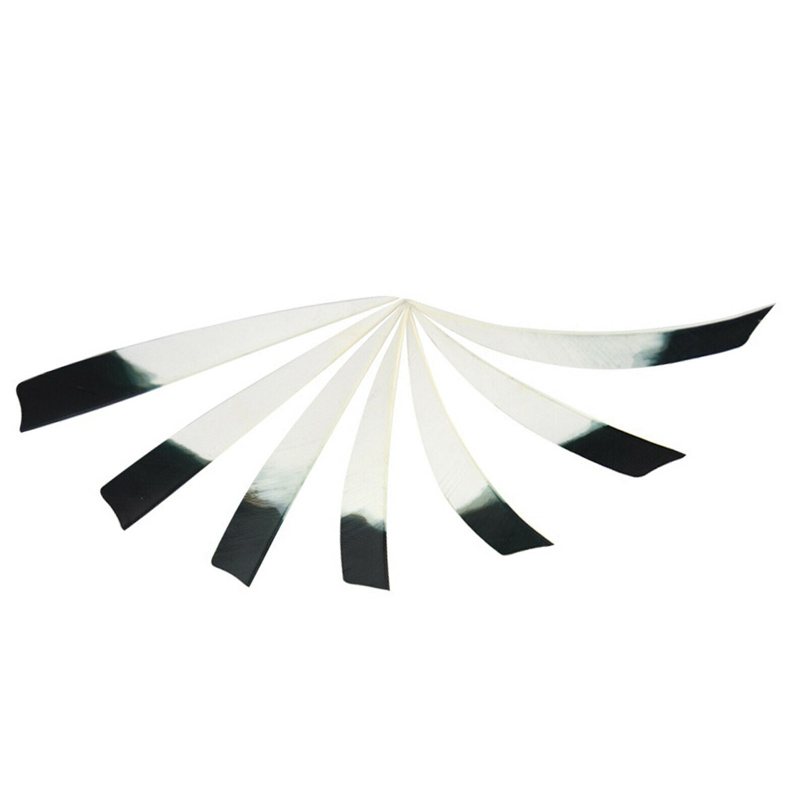 50PCS 5" Archery Arrow Fletches Feathers Turkey Fletching Right Wings Shield CA