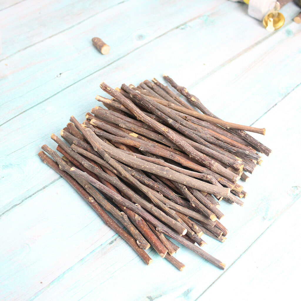 Wood Chew Sticks for Hamster Rabbits Chinchillas Squirrels Rodent Animals