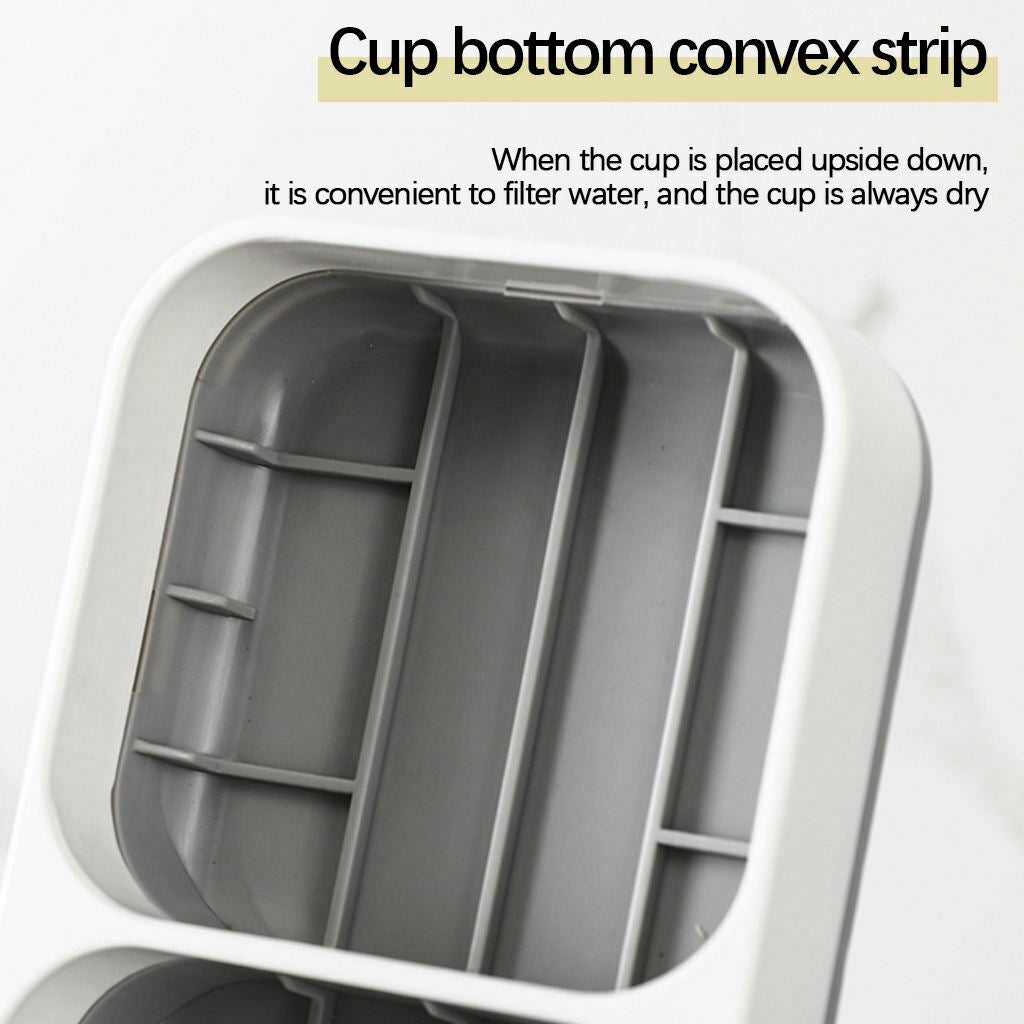 Toothbrush Holder Toothpaste Razor Makeup Brushes Organizer 2 Bathroom Cups