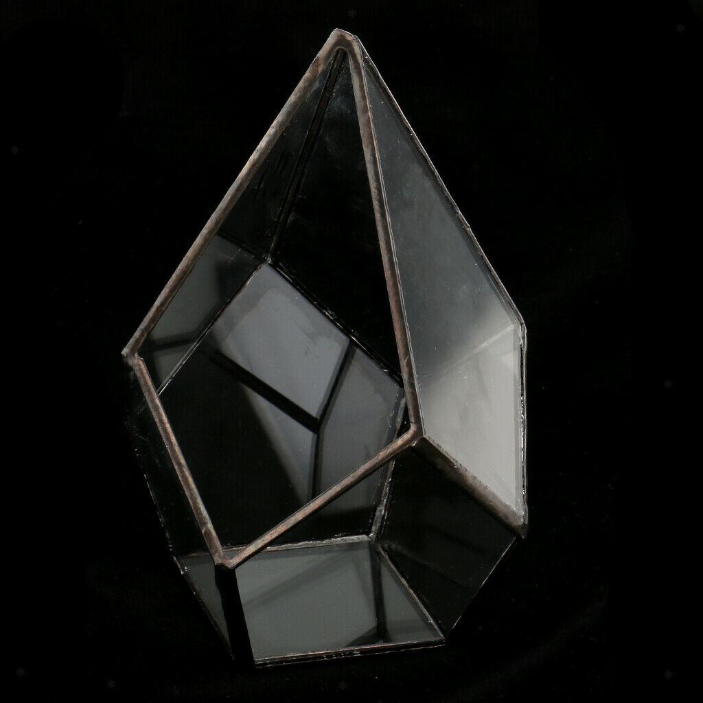 Clear Glass Terrarium Box Open Fern Moss Succulent Planter Case Flower Pot