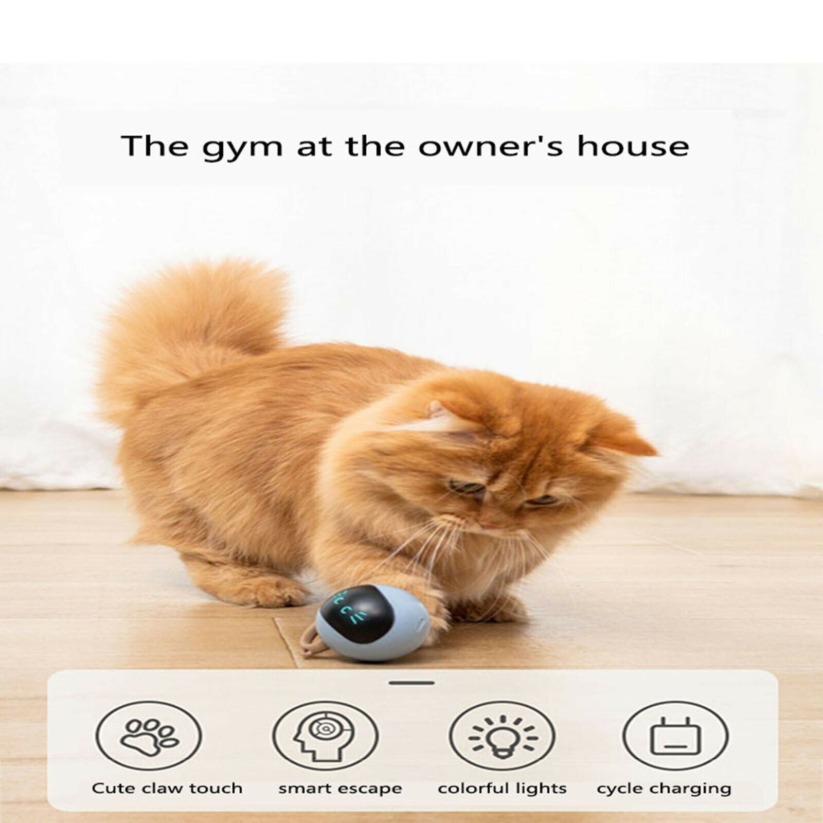 Interactive Cat Ball Toys Pet Kitten Rolling Puppy Indoor Outdoor Training