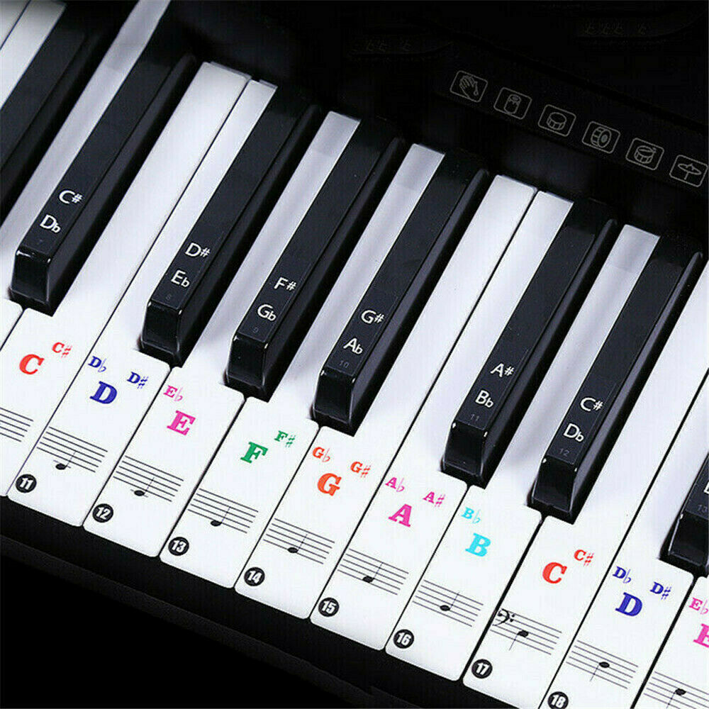 Removable PVC Piano and Keyboard Stickers for 49 61 76 88 Transparent DIY